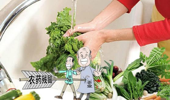  學校食堂承包分享果蔬表面農(nóng)藥殘留物怎么清除