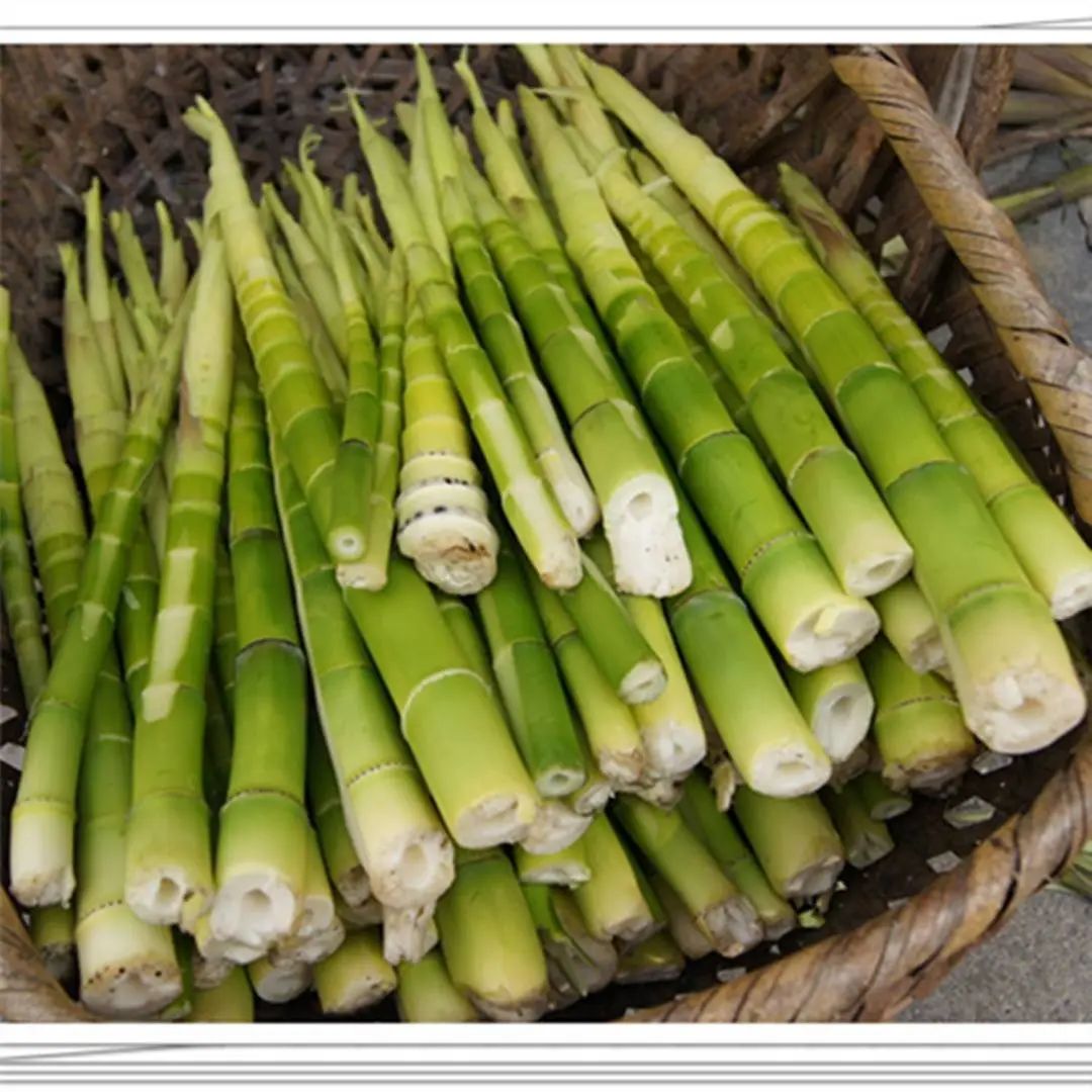 秋燥養(yǎng)生吃這幾樣蔬菜就夠了